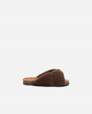 Sandalias Flattered Lou Teddy Zapatos Marrom | MXNEJ77604