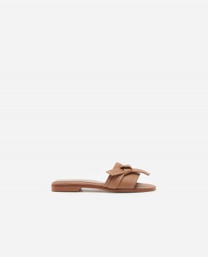 Sandalias Flattered My Cuero Zapatos Marrom | YMXGT13329